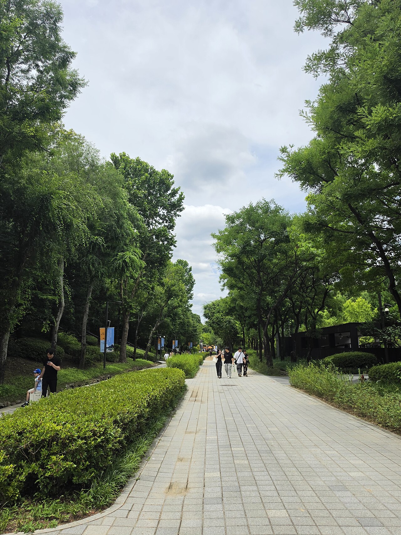 Seoul Forest