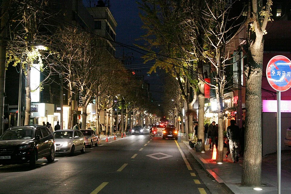 Sinsa-dong Garosu-gil