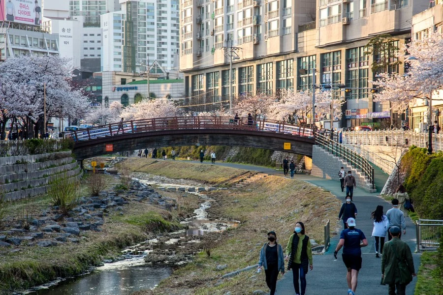 Seongbukcheon Yeoul Bridge