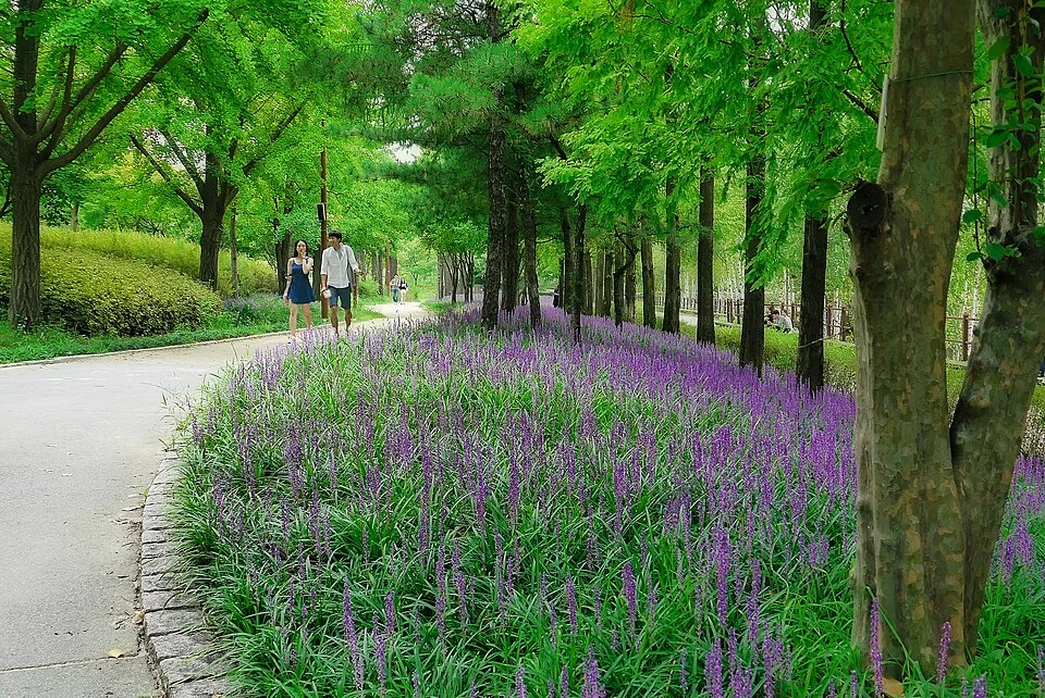 Seonyudo Park