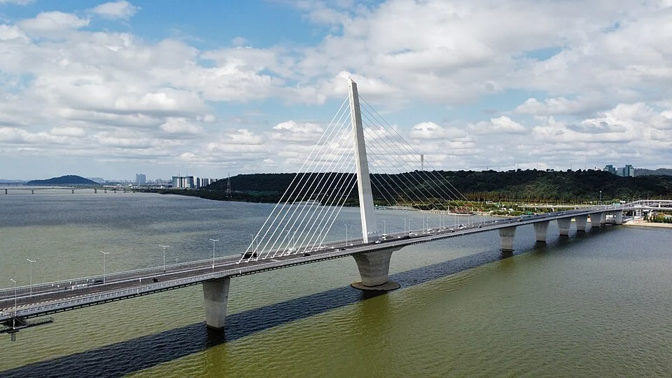World Cup Bridge Viewpoint
